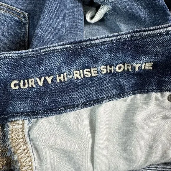 American Eagle CURVY HI RISE SHORTIE Size 4 Denim Cut Off Jean Micro Shorts 26x2 - Picture 7 of 10